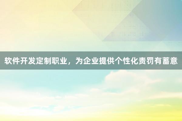 软件开发定制职业，为企业提供个性化责罚有蓄意
